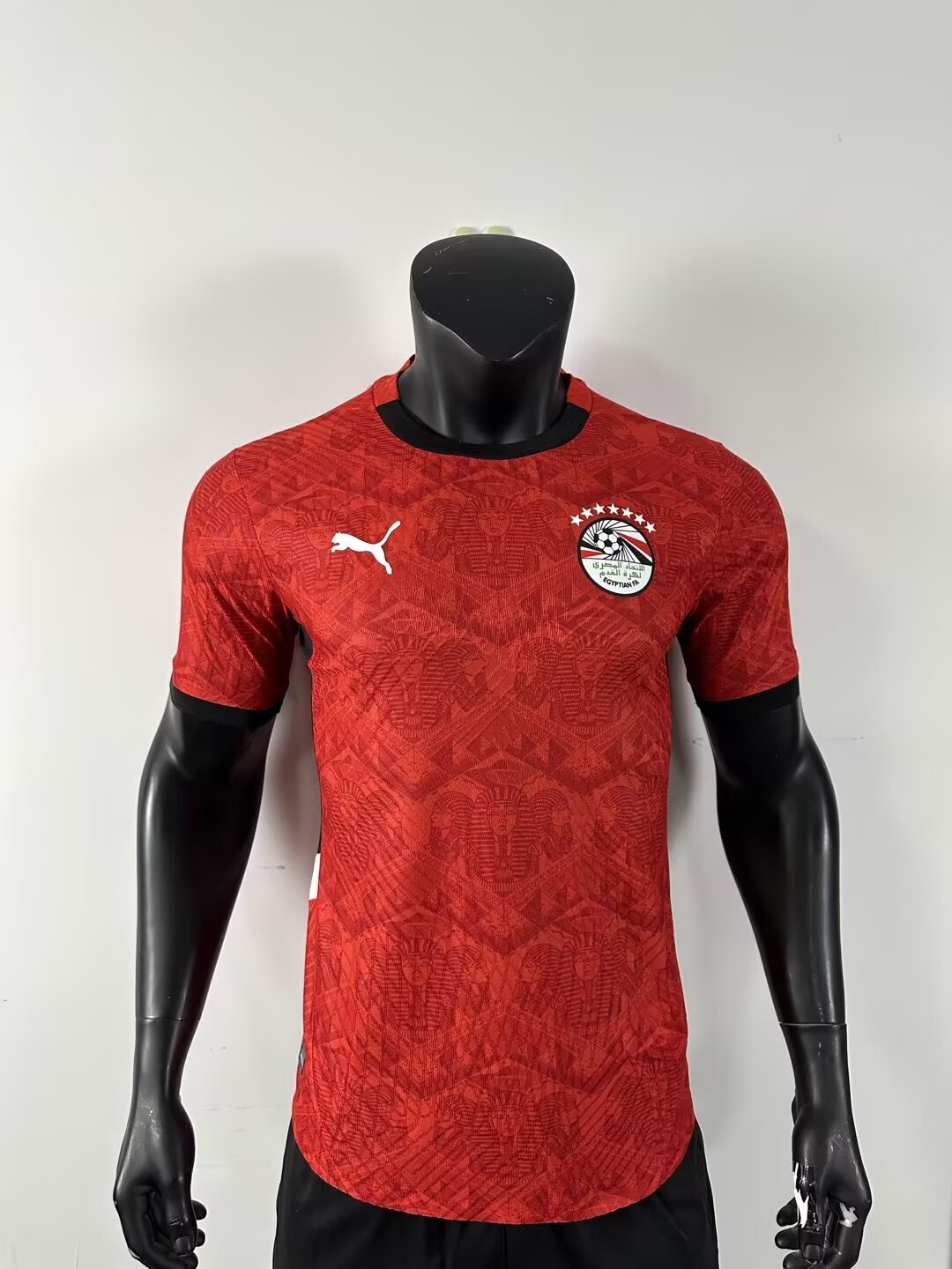 Egypt World Cup 2026