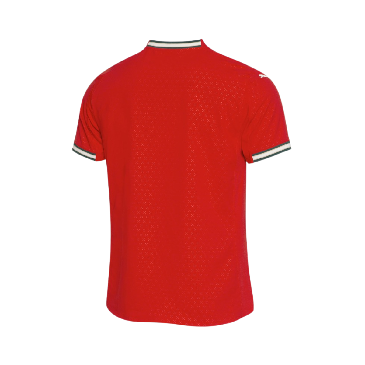 Trikot Portugal Heimspieler 2025