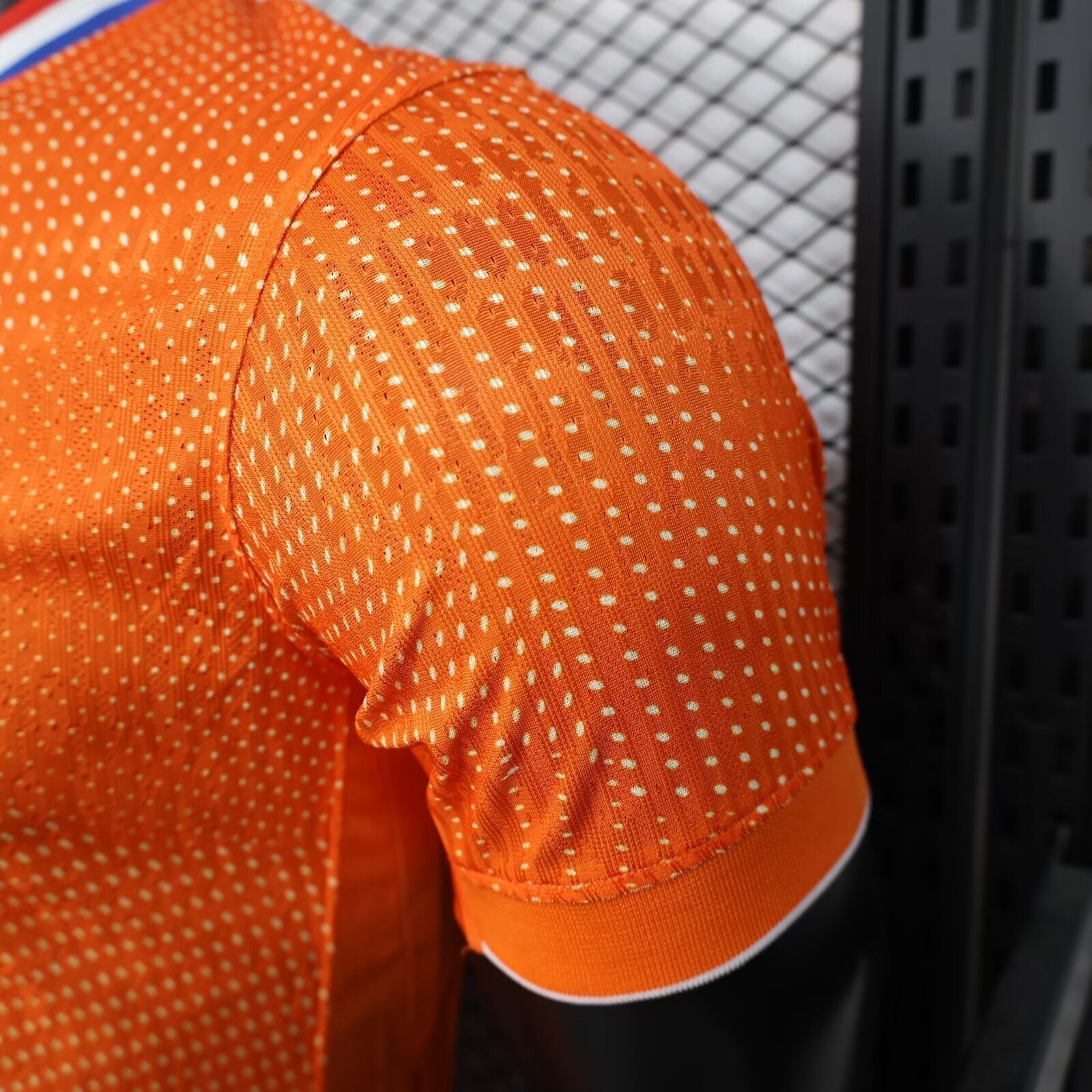 Netherland World Cup 2026