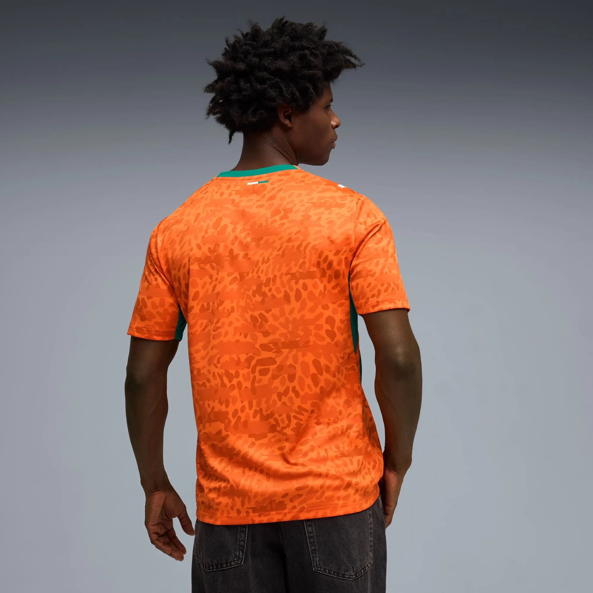 Trikot Elfenbeinküste Heim 2026
