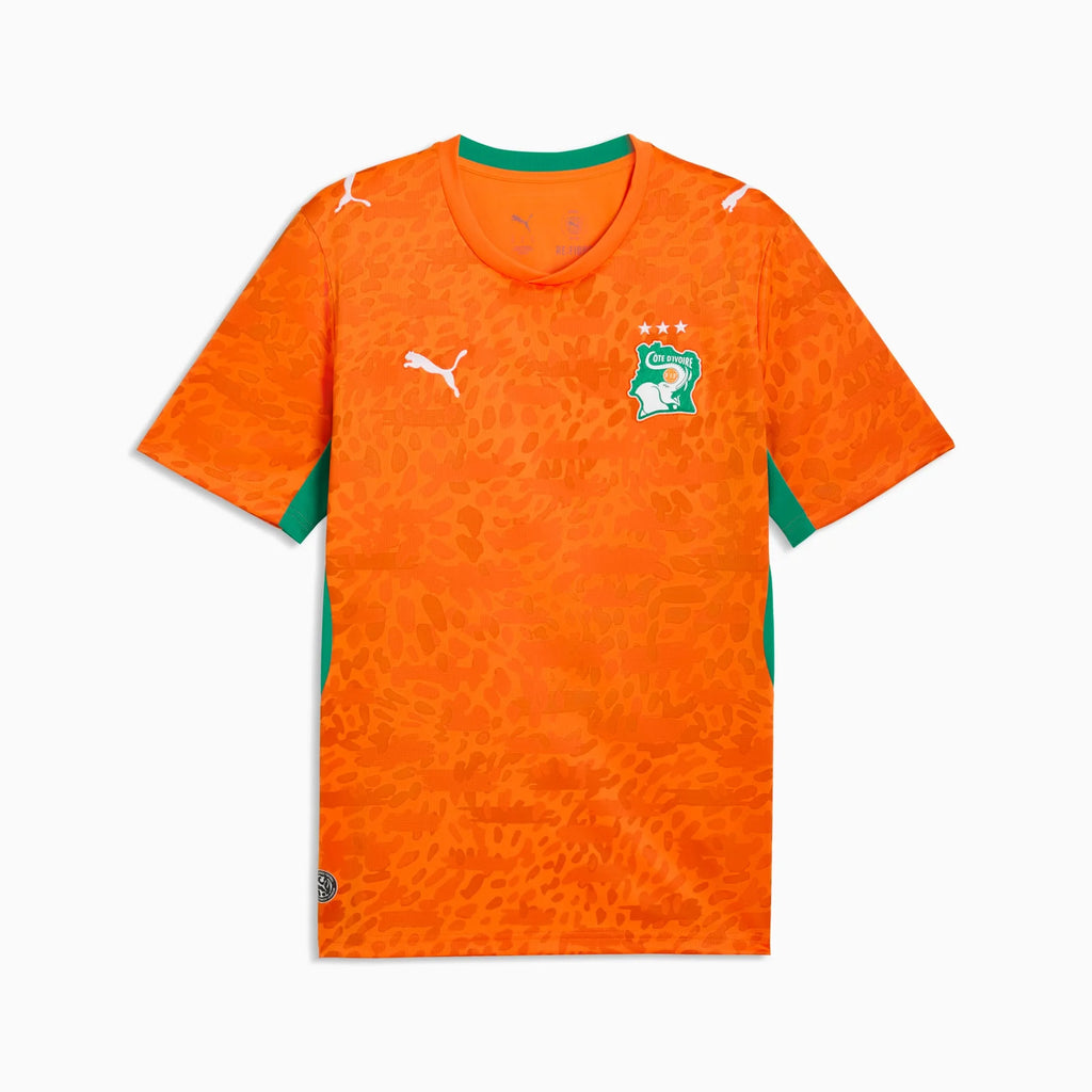 Trikot Elfenbeinküste Heim 2026