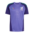Trikot Mexiko Torwart Auswärts 2026
