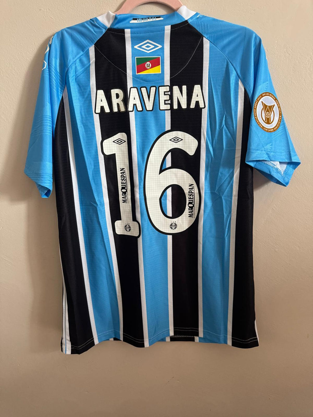ALEXANDER ARAVENA 2024-25 (Gr)
