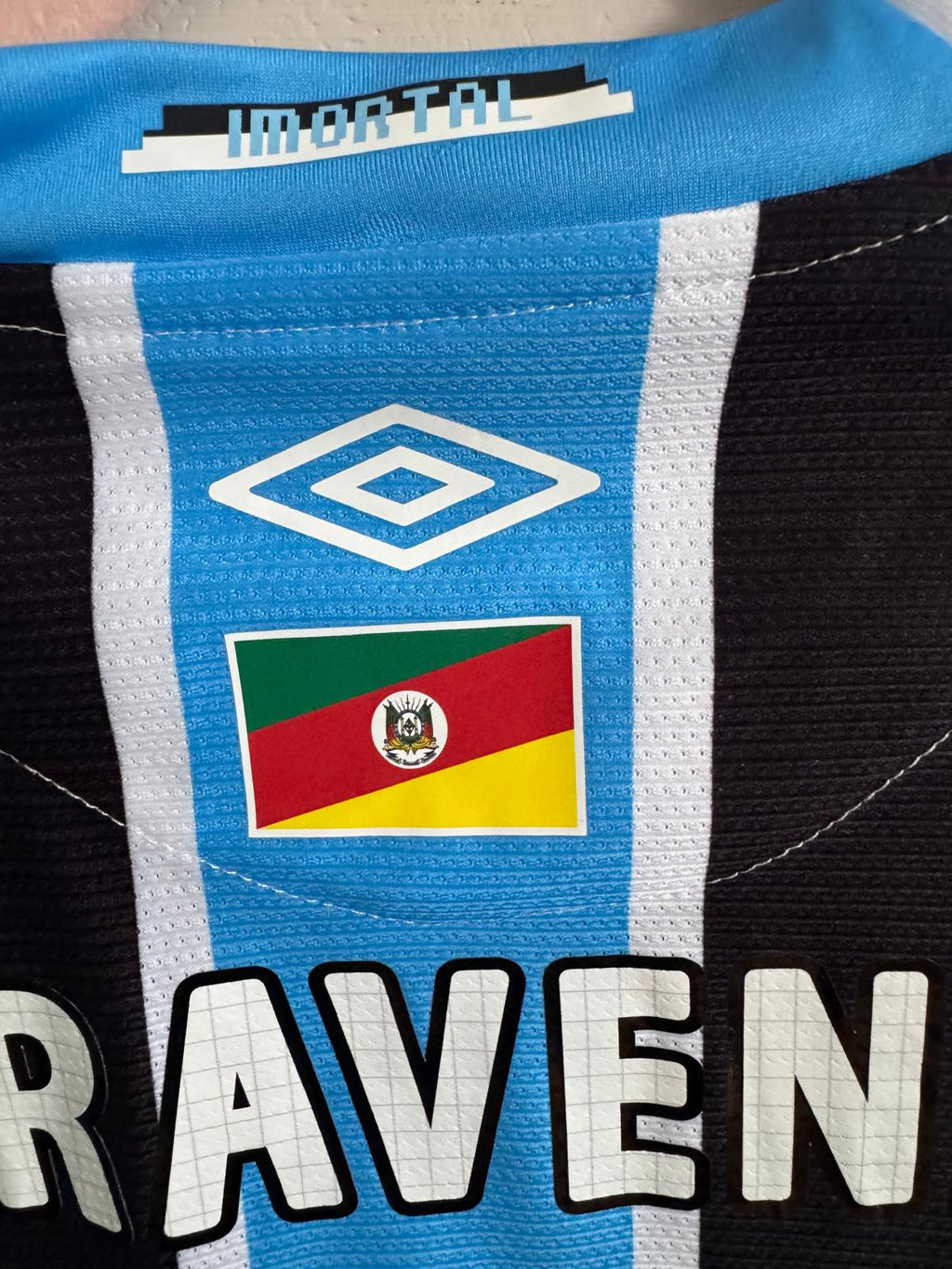 ALEXANDER ARAVENA 2024-25 (Gr)