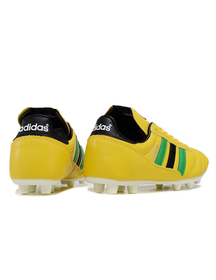 Copa FG62
